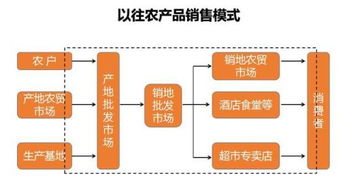 優(yōu)質農(nóng)產(chǎn)品如何通過互聯(lián)網(wǎng)銷售 策略與實踐
